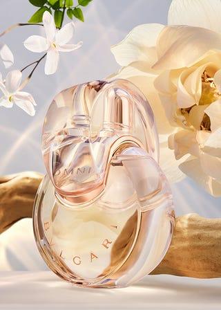 ������OMNIA����ϵ��ȫ�°׾���չ�ҫ����